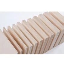 Nyír Rétegelt Lemez BFU100 BB/BB (18 mm x 1 250 mm x 2 500 mm)