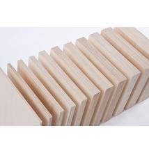Nyír Rétegelt Lemez IF20 CP/C (1525x1525x18mm)